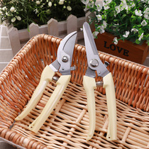 Stainless steel branch pruning shears picking fruit flower and wood scissors garden fruit tree flower branch grafting gardening scissors tool