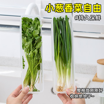 Coriander scallion and scallion fresh-keeping box refrigerator storage box