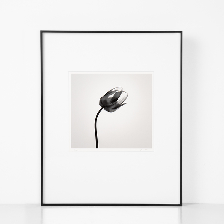Guanchen Imaging Personalized Framing Service High-Quality Aluminum Alloy Photo Frames Living Room and Bedroom Decoration Exhibition Picture Frames
