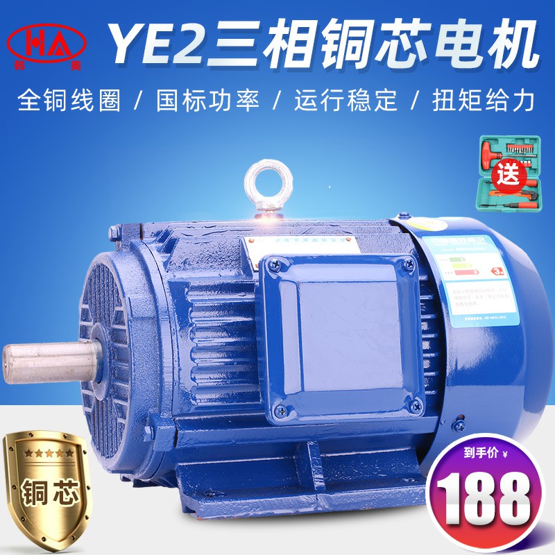 Hanao Motor YE2 three-phase asynchronous motor 380v motor national standard copper core home new horizontal B3 AC
