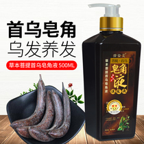  Polygonum polygonum saponin shampoo for men and women black hair white from natural blackening hair liquid White plant shampoo for the elderly and young