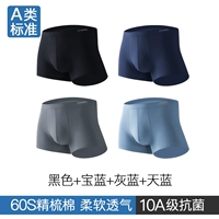 【Класс A 60S Combed Chotcon + 10a Antibacterial】 Black + Royal Blue + Grey Blue + Sky Blue