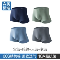 【Класс A 60S Combed Chotcon + 10a Antibacterial】 Prince Blue + Dark Green + Sky Blue + Grey Blue
