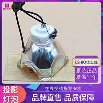 Sanyo PLC-XU1050C XU1060C XU115W XU101K POA-LMP111 projector bulb