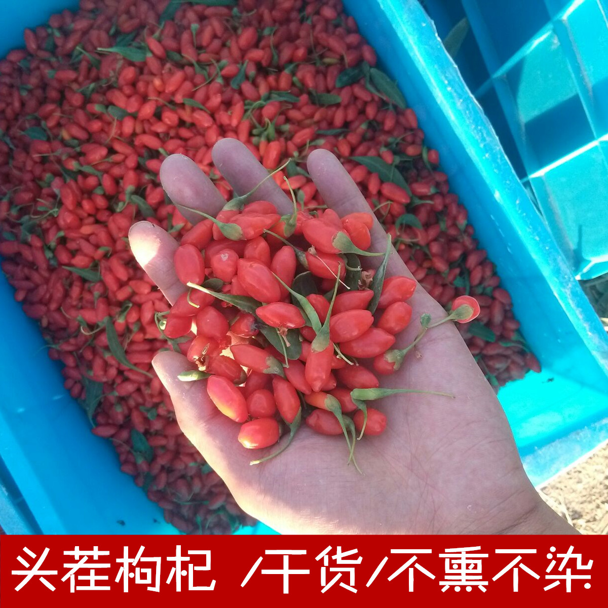 Natural head stubble wolfberry dry cargo is not smoked and dry 300g gold barber sun in Gansu farmhouse