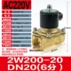 2W200-20 (AC220V)