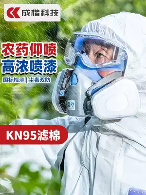 Gas mask Dust-proof pesticide spray paint special full cover Dust suction protective mask Industrial chemical gas