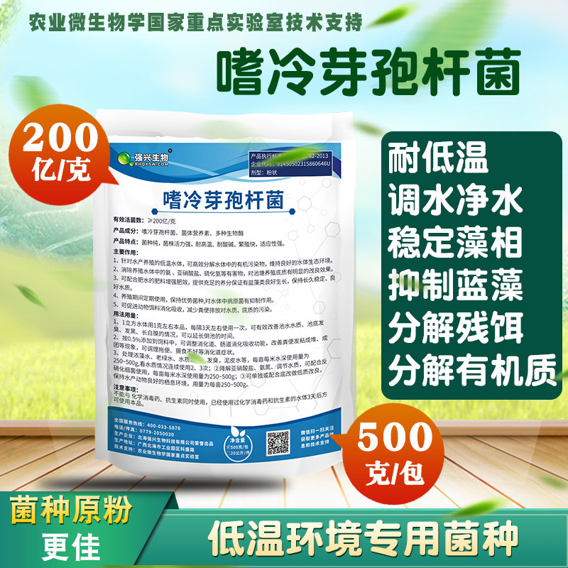 Special strain sewage treatment microbial inoculum additive for cryptobacter aquiculture low temperature environment