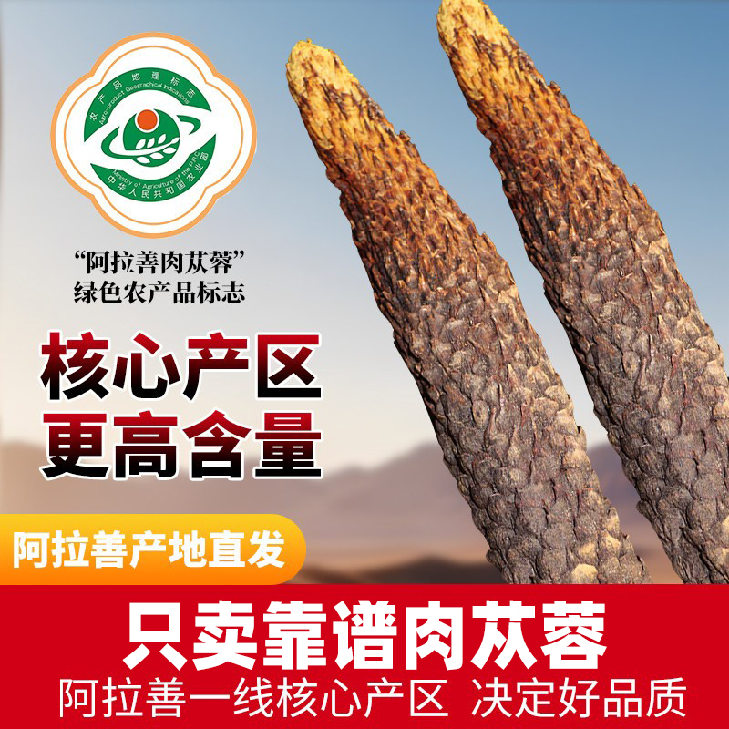 Alxa Cistanche Deserticola Whole Root, Soft Oil Cistanche from the Inner Mongolia Desert, Male Nourishment, Suitable for Making Tea or Infusing in Wine, Traditional Chinese Medicine Ingredient Alxa Cistanche Deserticola Whole Root, Soft Oil Cistanche from the Inner Mongolia Desert, Male Nourishment, Suitable for Making Tea or Infusing in Wine, Traditional Chinese Medicine Ingredient