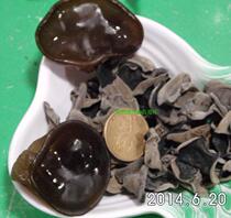 Northeast black fungus 250g Daxinganling small autumn ear fungus Heilongjiang small leaf rootless autumn fungus