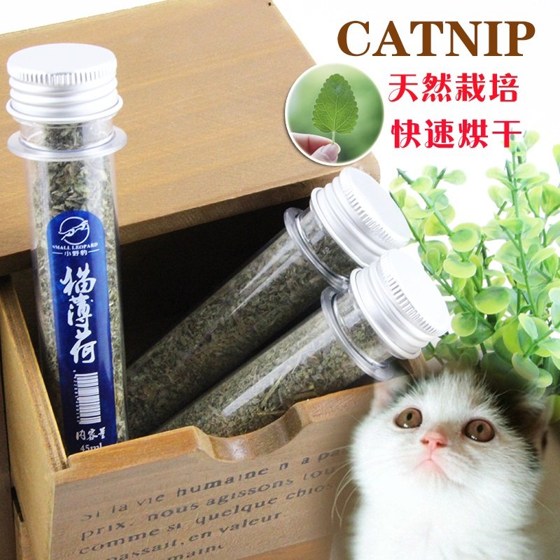 Natural cat mint kitty snacks with digestion pup grass to improve immunoconditioning Gut Test Tube Type 45 ml