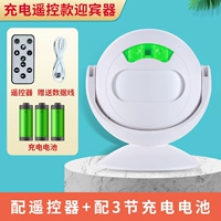 Батарея с зарядкой, делается под заказ, дистанционное управление