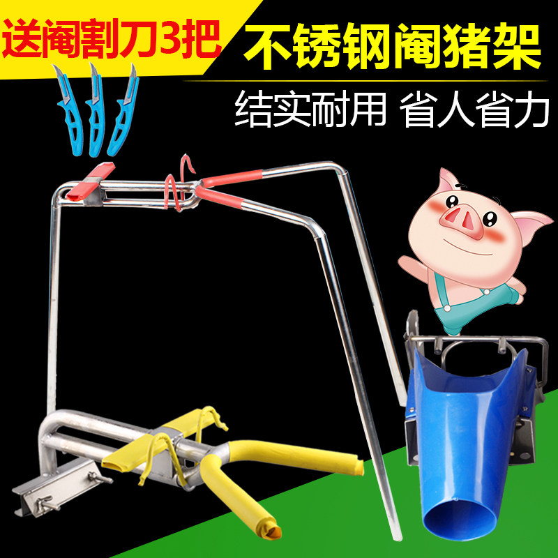 Piglet castration rack piglet with a knockout pig with a pig-cashing pig with a pig knife three feet fixed to a snobler-casted pig shelf