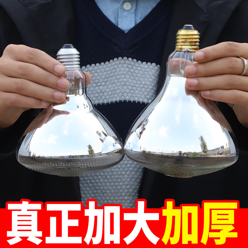 Piglets with heat lamp chicken brood pig breeding heating lamps energy-saving heating warm heat lamp livestock full