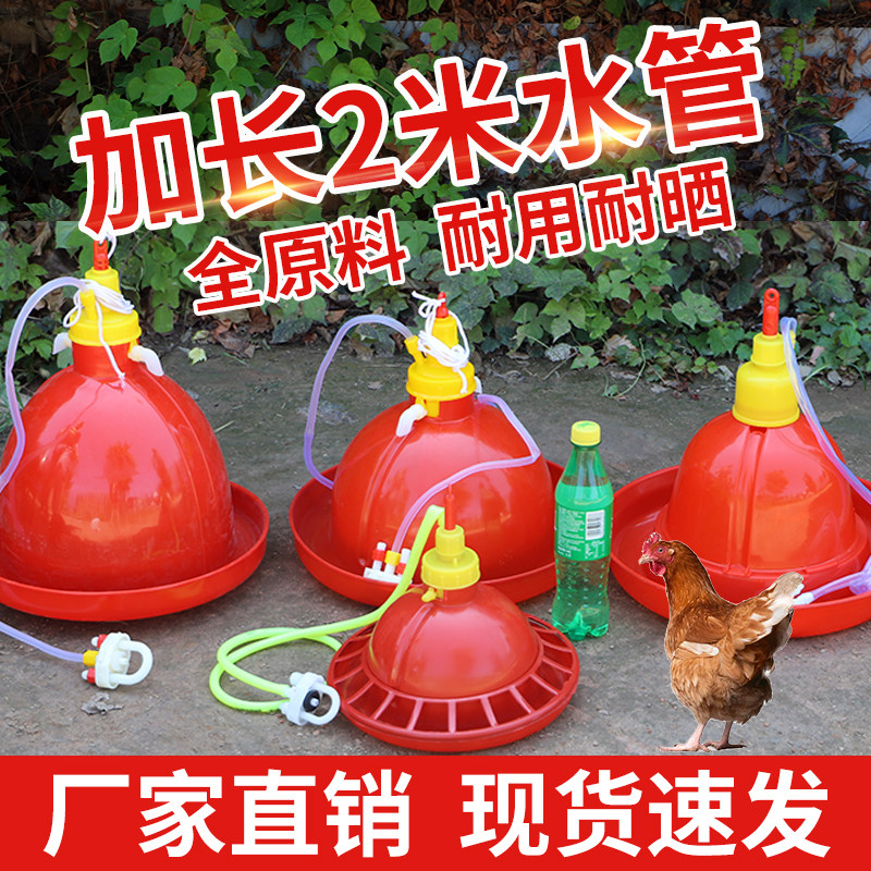 Breeding Chicken equipment Supplies Pramatsu Automatic Drinking Water Chicken Duck Goose with water feeder Little Chicken Drinking Water Pot Sink