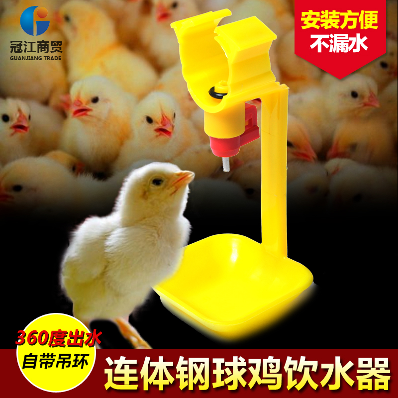 The chicken is automatically fed with a steel ball nipple-type automatic water dispenser with a hanging cup for raising the chicken equipment