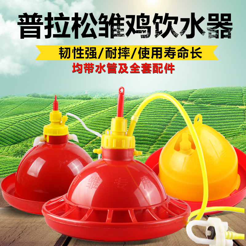 Food chicken farming equipment supplies Plasoon automatic water drinker chicken duck goose feed chicken farm chicken pot