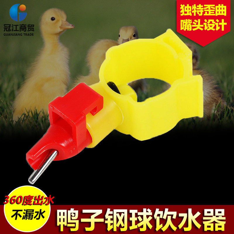Duck steel ball drinker Duck with automatic water - mouth goose nipple water drinker duck nipple steel ball drinker