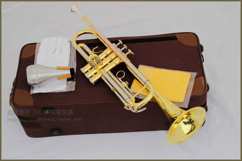 Suzuki sơn mài vàng hai màu nhỏ nhạc cụ đích thực cung cấp đặc biệt - Nhạc cụ phương Tây kèn sắc xô phôn