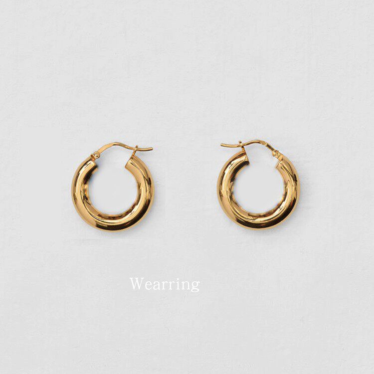 Earrings 2021 new trendy net red big-name design retro simple fashion circle gold-plated earrings earrings femininity