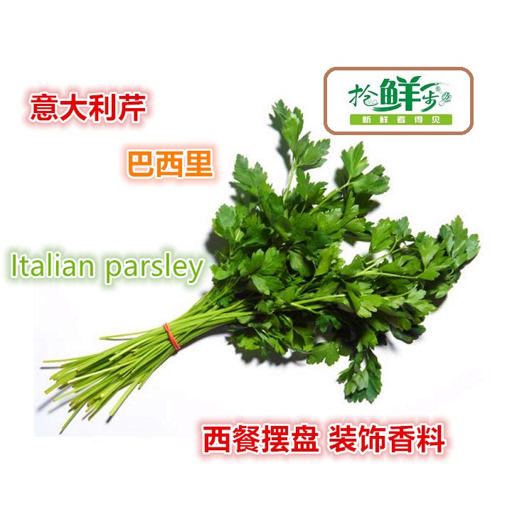 Fresh Vegetables Italian Cress Ocaress Basil Spices 250g Jiang Zhejiang Shanghai 5 pieces