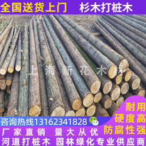 Forest farm direct supply of fir wood piles fir logs log piles with bark fir revetment piles river wood piles flood control piles