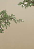 Chuangmei ancient costume background photo studio ancient costume art photo background Ancient costume photo photo cloth year-old cold Sanyou * Pine