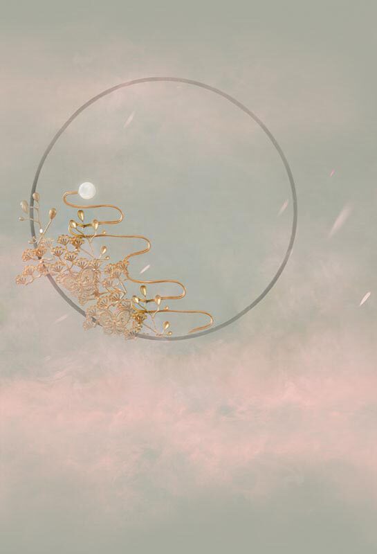 Creme photo gallery Ancient Clothing Background Paper Photo Gallery Ancient Dress Spray-painted Background Ancient Dress Writing True Background PZ-1301 Lily