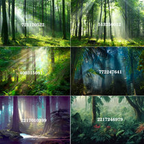 Tropical rainforest scenery studio forest indoor background live broadcast outdoor camping real-life photo forest background cloth