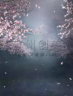 Photo studio photography background paper film and television ancient costume myth background cloth three life three ten li peach blossom pz-926 White shallow