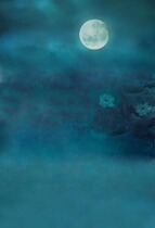 Plate woman costume background paper Green Lotus theme costume photo background ancient garden neon dress green jade shirt