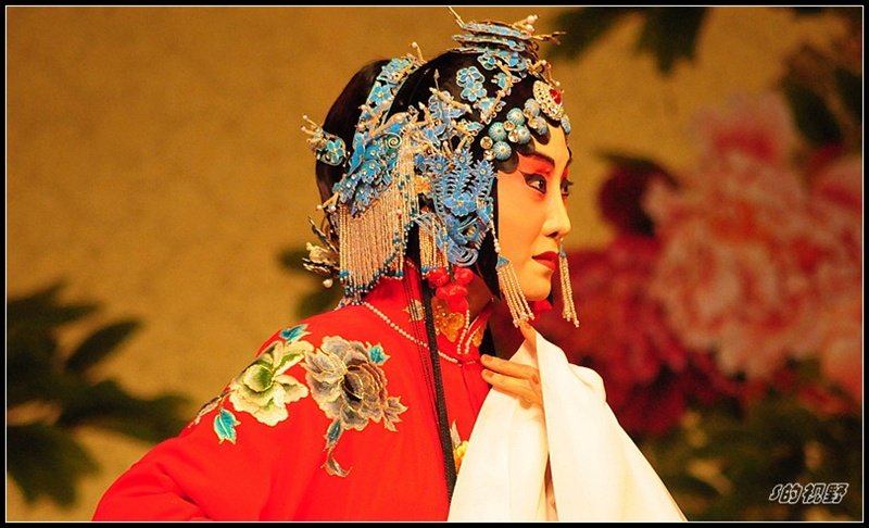 Extension cheveux - Chignon - Ref 235624 Image 17