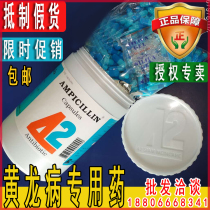  Umbilical orange yellow dragon disease blue and white capsule injection Thailand 42 imported tetracycline hydrochloride sand sugar orange Orange