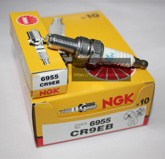 Japan 6955 Original Loaded Imported NGK Bulk Spark Plug CR9EB