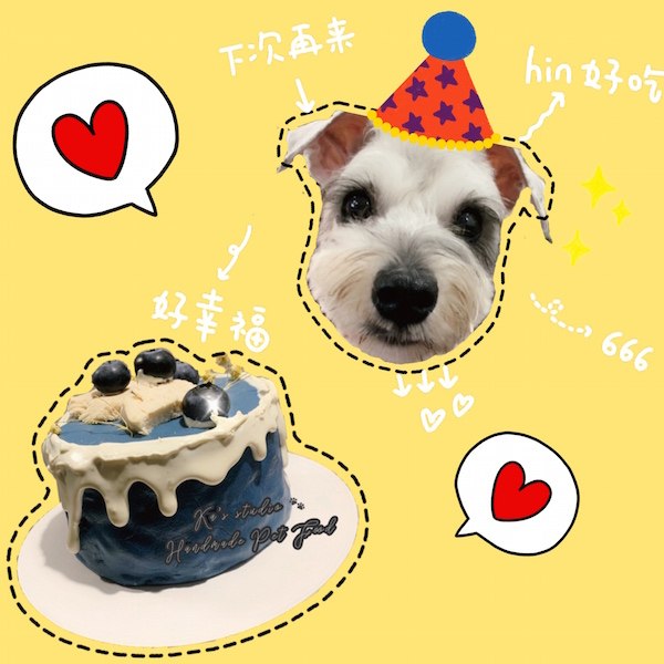 Preorder pet cat and dog birthday series handmade exclusive birthday dessert pet cake formulation