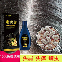 Old yellow turmeric king shampoo antibacterial liquid anti-hair scalp anti-dandruff anti-itching oil removal mites male Lady refreshing
