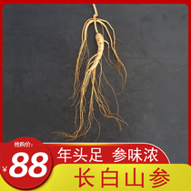 Authentic Changbai Mountain Ginseng Wild Mountain Ginseng Northeast Ginseng Mountain Ginseng Mountain Ginseng Mountain Ginseng Wine Soup Jiapin