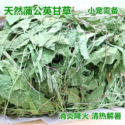 2021 New dandelion heat-clearing and detoxifying antibacterial anti-inflammatory rabbit Chinchoro 50g