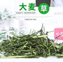  2021 High-quality barley grass section 500g Rabbit guinea pig Totoro forage Rabbit food rich in coarse fiber 3 pieces