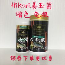 Guys ~ Japan Hikari High enough Tortoise Grain Good Jade Bacteria Gain Color Conditioning Gastrointestinal yellow throat Turtle Feed Turtle