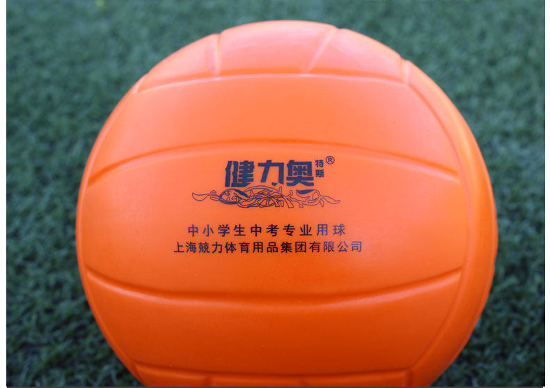 Ballon de volley-ball - Ref 2012767 Image 18