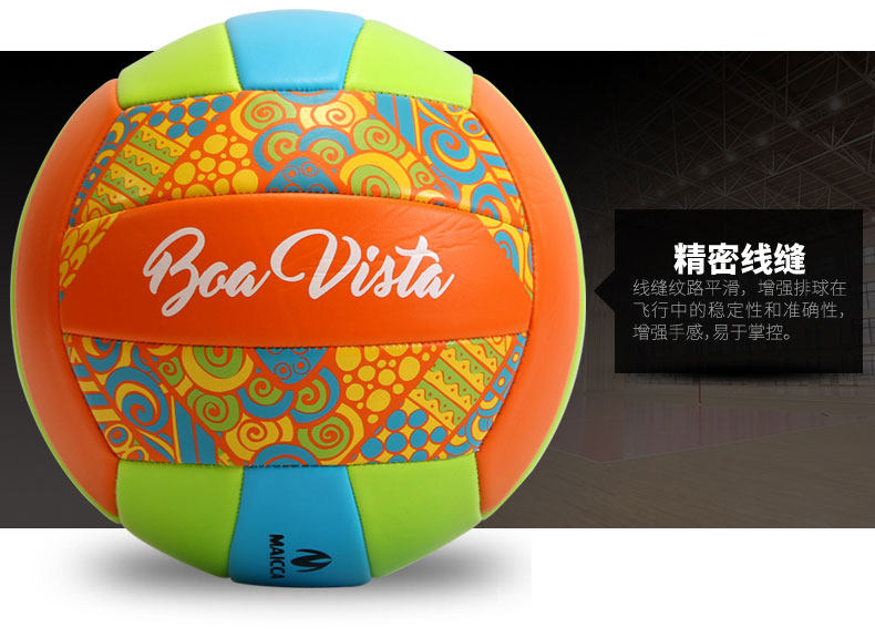 Ballon de volley-ball - Ref 2011345 Image 12