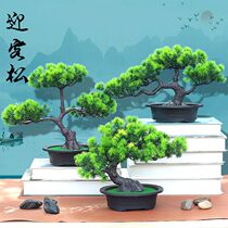 Simulation plant small potted plant false flower plastic flower bonsai home pendulum pieces dry-flower living room decorations greet pines and pine branches