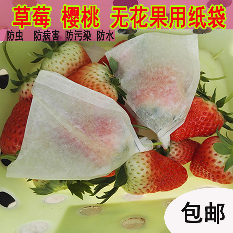 Cherry Bagging Almond Bag Plum Bagging Anti-Insect-Proof Papaya Bagging Fruit Bag Strawberry Bagging Without Fig Bagging