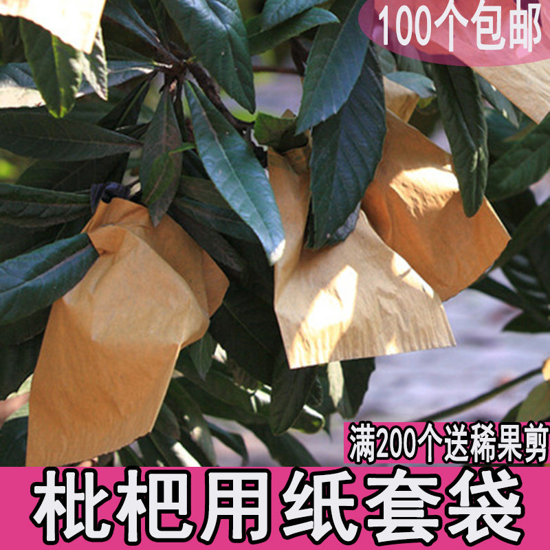 Loquat bagging Special bagging bagging Loquat paper bag Waterproof bagging Fruit bagging Bird-proof insect-proof Loquat bag