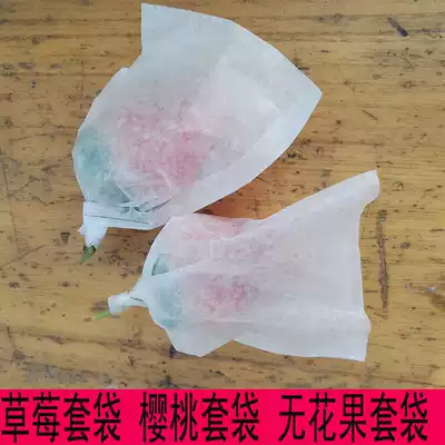 Strawberry Bagged Cherry Bags Bagged Fruit Bags Green Jujube Fruit Bags Waterproof Insect 100 Bags