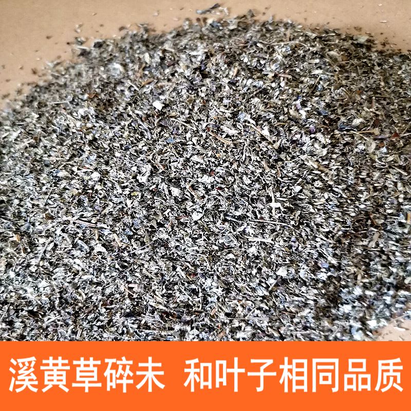 Wild Xihuang grass crushed not special package edible health tea Zhaoqing origin delivery