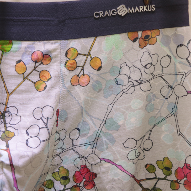 CRAIG Markus truy cập với in đa con mens Dofu kinh doanh phi-mark quần lót phẳng góc CM7096.