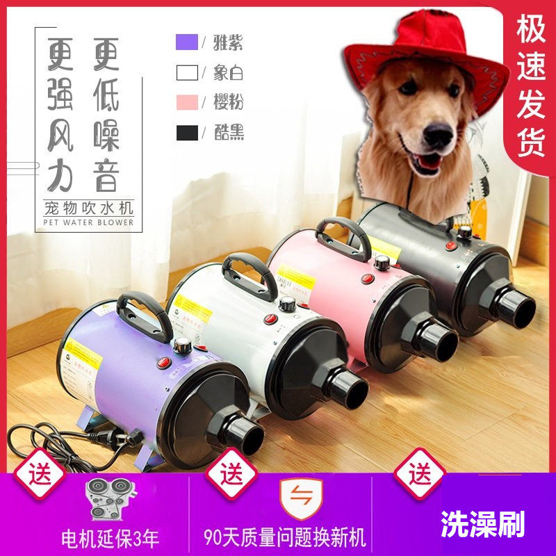 Pet Blow Water Machine Pooch Blower High Power Large Canine Fur Kitty Household Drying Blow 2200W