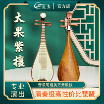 Big fruit red sandalwood pipa musical instrument for adults professional performance examination special Burmese rosewood piba pipa loquat qin